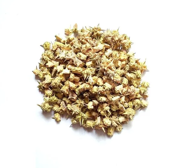 Vinarghya_Gokhru_Powder_Organic_Gokharu_Trikantak_Caltrops_Fruit_Gokshura_Gokhri_Bethagokharu_Gokhurkata_Neggilu_Pakhda_Nerinjil_Bhakhra_Palleru_Kaya_Khar-E-Khasakkhurd_100G