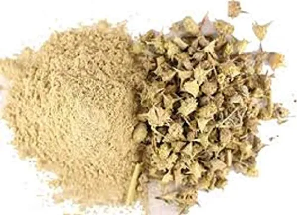 Vinarghya_Gokhru_Powder_Organic_Gokharu_Trikantak_Caltrops_Fruit_Gokshura_Gokhri_Bethagokharu_Gokhurkata_Neggilu_Pakhda_Nerinjil_Bhakhra_Palleru_Kaya_Khar-E-Khasakkhurd_100G