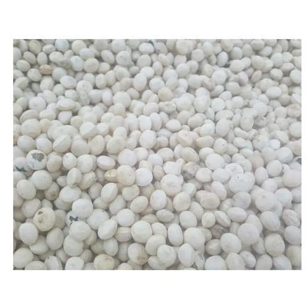 Vinarghya_–_Nirmali_Bij/_Neimal/_Kataka/_Clearing_Nut_Tree/_Chilla/_Thettamaram/_Kadakam/_Damaai_Phal/_Sirungamaram/_Kal_Kottei/_Chetamperalu/_Tettan_Kottei/_Chillachettu_–_100G