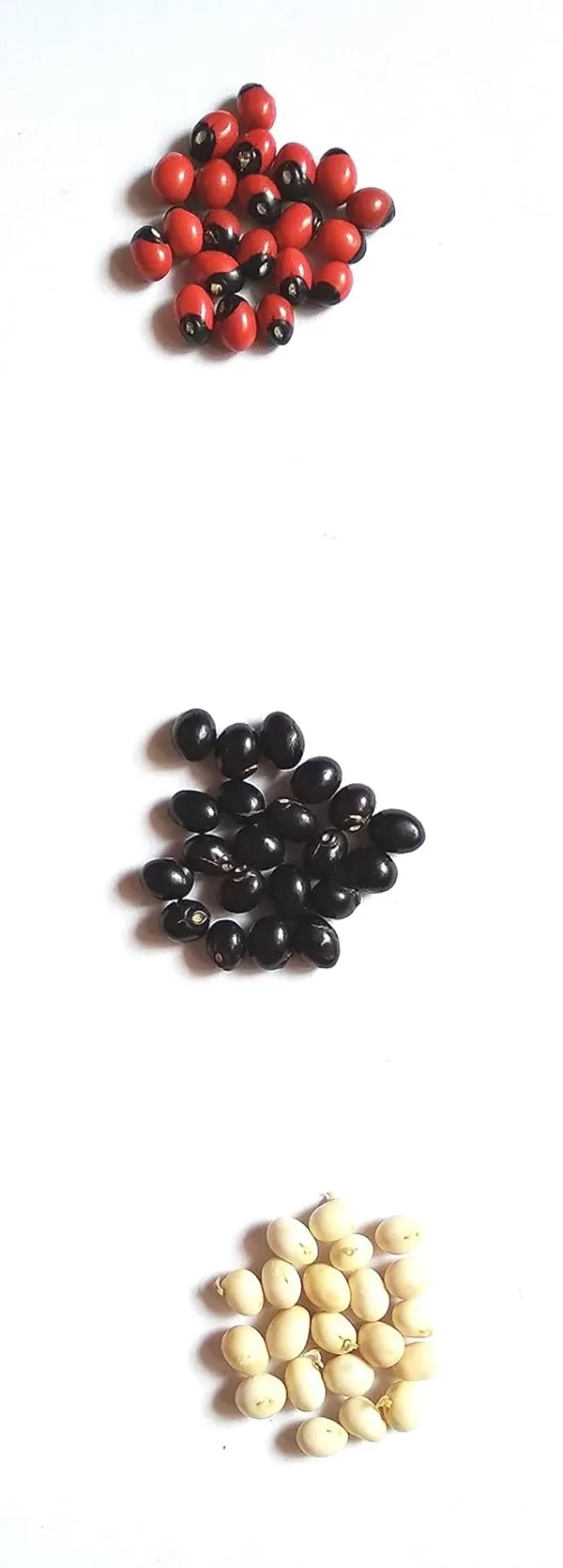 Vinarghya_-_Gunja_Combo_(White,Black,_Red)_/_Abrus_Precatorius/_Rakta_Gunja/_Gumachi/_Chirmi_Beads/_Gurinvida/_Ratti_Seeds_/_गूंज_–_21Pcs_Of_Each