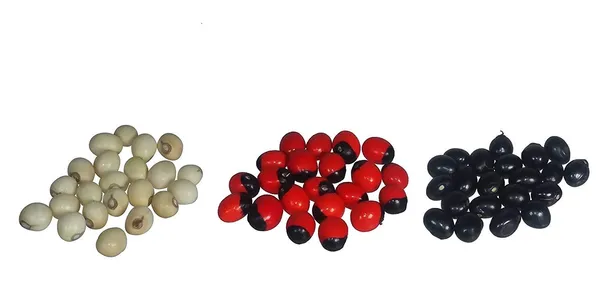 Vinarghya_-_Gunja_Combo_(White,Black,_Red)_/_Abrus_Precatorius/_Rakta_Gunja/_Gumachi/_Chirmi_Beads/_Gurinvida/_Ratti_Seeds_/_गूंज_–_21Pcs_Of_Each