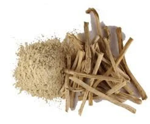 Vinarghya_Shatavari_Powder_Organic_Shatavri_Indian_Aspragus_Satavar_Shatamuli_शतावरी_पावडर_100G