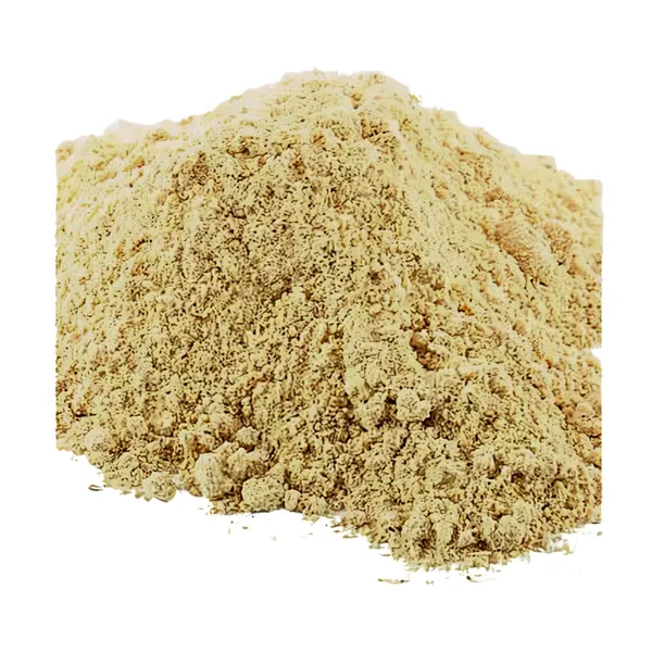 Vinarghya_Shatavari_Powder_Organic_Shatavri_Indian_Aspragus_Satavar_Shatamuli_शतावरी_पावडर_100G