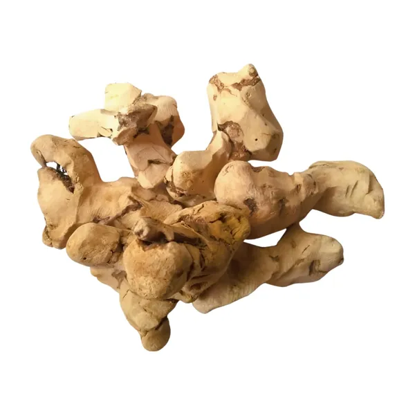Vinarghya_-_Organic_Chopchini_Powder/_Madhusnuhi_Churn/_China_Root/_Bamboo_Bariar_Root/_Kashussini/_Gooti_–_100G