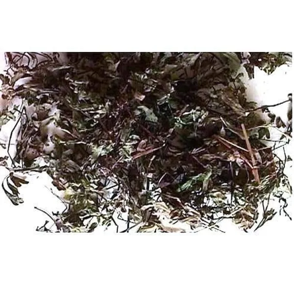 Vinarghya_-_Hansraj/_Pershosha/_Adiantum_Capillus/_Veneris/_Hanspadi/_Maiden_Hair/_Hanspadee/_Hansaraj/_Hamsapadi/_Raktapadi/_Sharul_Arj/_Kali_Jhat/_Pursha/_Parsiaonshan_/_हंसराज_-_100G