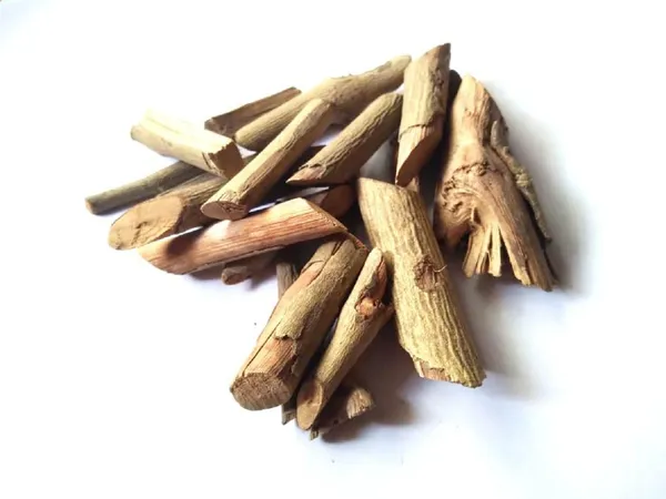 Vinarghya_–_Danti_Mool/_Dantimul/_Dante_Mul/_Danthi/_Jangli_Jamalgota/_Dantika/_Kaadu_Haralu/_Naga-Danti/_Kumpam/_Erradundiga_–_100G