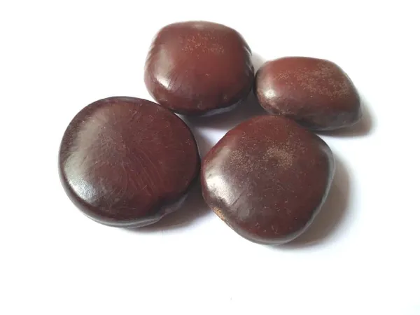 Vinarghya_-_Mountain_Tamarind_Seed/_Pahadi_Bada_Imli_Beej/_Jumbo_Tamarind_Seed/_Gaja_Imali_Bij/_Tamarindus_Indica/_Chinchoka/_Tetula/_Timir_Hindi/_Tamar/_Hatti_Bij/_Jangali_Chichoka_-_100Gm