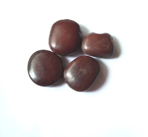 Vinarghya_-_Mountain_Tamarind_Seed/_Pahadi_Bada_Imli_Beej/_Jumbo_Tamarind_Seed/_Gaja_Imali_Bij/_Tamarindus_Indica/_Chinchoka/_Tetula/_Timir_Hindi/_Tamar/_Hatti_Bij/_Jangali_Chichoka_-_100Gm
