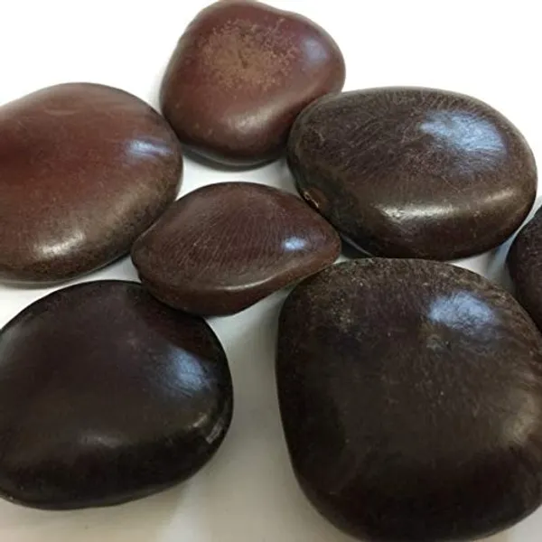 Vinarghya_-_Mountain_Tamarind_Seed/_Pahadi_Bada_Imli_Beej/_Jumbo_Tamarind_Seed/_Gaja_Imali_Bij/_Tamarindus_Indica/_Chinchoka/_Tetula/_Timir_Hindi/_Tamar/_Hatti_Bij/_Jangali_Chichoka_-_100Gm