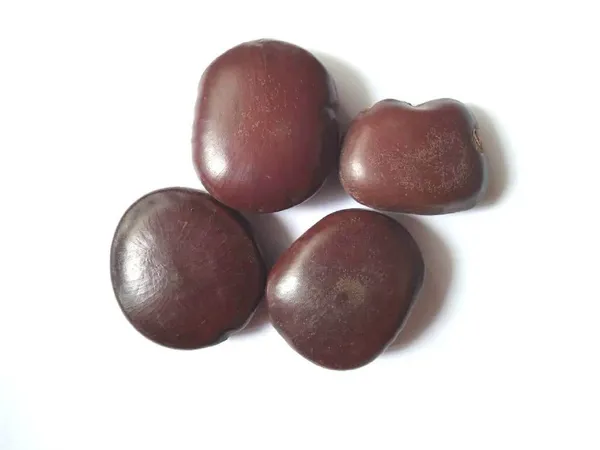 Vinarghya_-_Mountain_Tamarind_Seed/_Pahadi_Bada_Imli_Beej/_Jumbo_Tamarind_Seed/_Gaja_Imali_Bij/_Tamarindus_Indica/_Chinchoka/_Tetula/_Timir_Hindi/_Tamar/_Hatti_Bij/_Jangali_Chichoka_-_100Gm