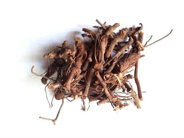 Vinarghya_–_Chitrak_Mool_Organic/_Cheeta_Mul/_Chitramulamu/_Leadwort/_Chita/_Chitro_Jad/_Chittiri/_Sheetaraj/_Agiyachit/_Agnachit/_Vahni/_Bilichitramoola/_Shatranja/_Agni/_चित्रक_मूल_–_100G