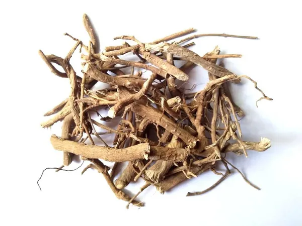 Vinarghya_–_Chitrak_Mool_Organic/_Cheeta_Mul/_Chitramulamu/_Leadwort/_Chita/_Chitro_Jad/_Chittiri/_Sheetaraj/_Agiyachit/_Agnachit/_Vahni/_Bilichitramoola/_Shatranja/_Agni/_चित्रक_मूल_–_100G
