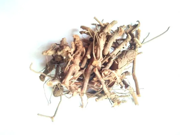 Vinarghya_–_Chitrak_Mool_Organic/_Cheeta_Mul/_Chitramulamu/_Leadwort/_Chita/_Chitro_Jad/_Chittiri/_Sheetaraj/_Agiyachit/_Agnachit/_Vahni/_Bilichitramoola/_Shatranja/_Agni/_चित्रक_मूल_–_100G