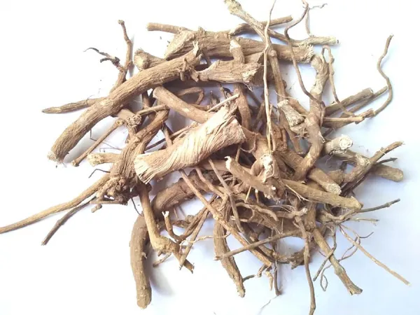 Vinarghya_–_Chitrak_Mool_Organic/_Cheeta_Mul/_Chitramulamu/_Leadwort/_Chita/_Chitro_Jad/_Chittiri/_Sheetaraj/_Agiyachit/_Agnachit/_Vahni/_Bilichitramoola/_Shatranja/_Agni/_चित्रक_मूल_–_100G