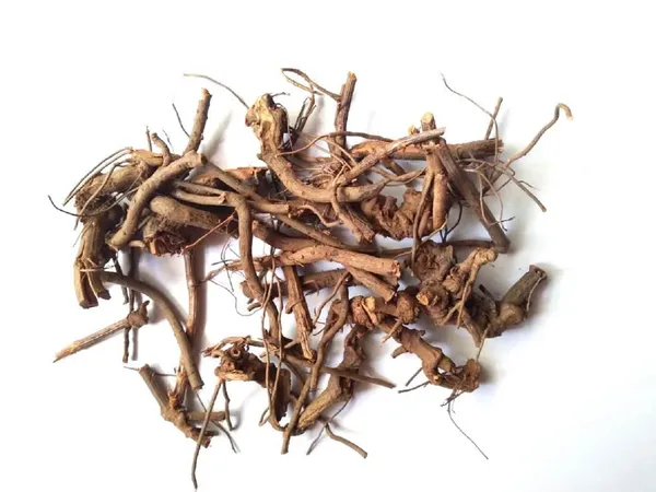 Vinarghya_–_Chitrak_Mool_Organic/_Cheeta_Mul/_Chitramulamu/_Leadwort/_Chita/_Chitro_Jad/_Chittiri/_Sheetaraj/_Agiyachit/_Agnachit/_Vahni/_Bilichitramoola/_Shatranja/_Agni/_चित्रक_मूल_–_100G