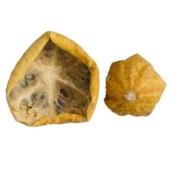 Vinarghya_-_Indrayan_Phal_Organic/_Citrullus_Colocynthis_Fruit_Dried/_Bitter_Apple/_Makal/_Kadwa_Nimbu/_Chedu_Puccha/_Cinna_Papara/_Pikkumutti/_Rakhale_Shasa/_Ratanindrayan_-_100G