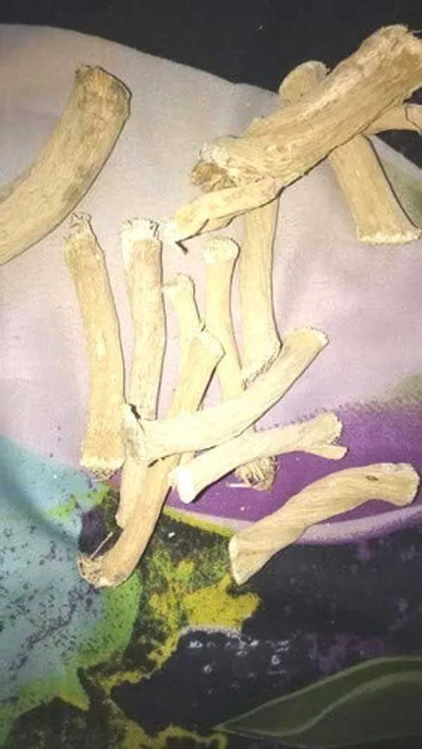 Vinarghy_-_Indrayan_Ki_Jad_Mool_Root/_Citrullus_Colocynthis/_Bitter_Apple/_Makal/_Kadwa_Nimbu/_Chedu_Puccha/_Cinna_Papara/_Pikkumutti/_Rakhale_Shasa/_Ratanindrayan/_Shvetpushpi_/_इन्द्रायण_की_जड़_-_100G