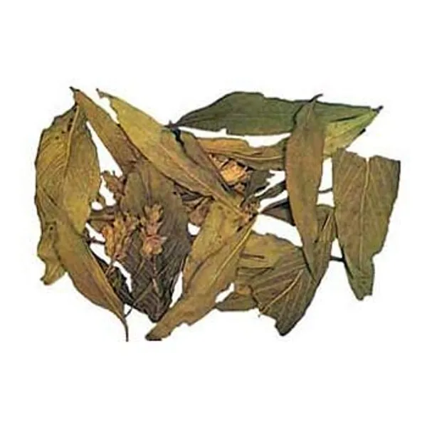 Vinarghya_–_Adulsa/_Adulasa/_Adusa/_Vasaka/_Justicia_Adhatoda/_Adosa/_Bansa/_Bakash/_Vasok/_Vamsa/_Adolakam/_Araduso/_Arusa/_Adusogae/_Bahak/_Adusoge_–_100Gm