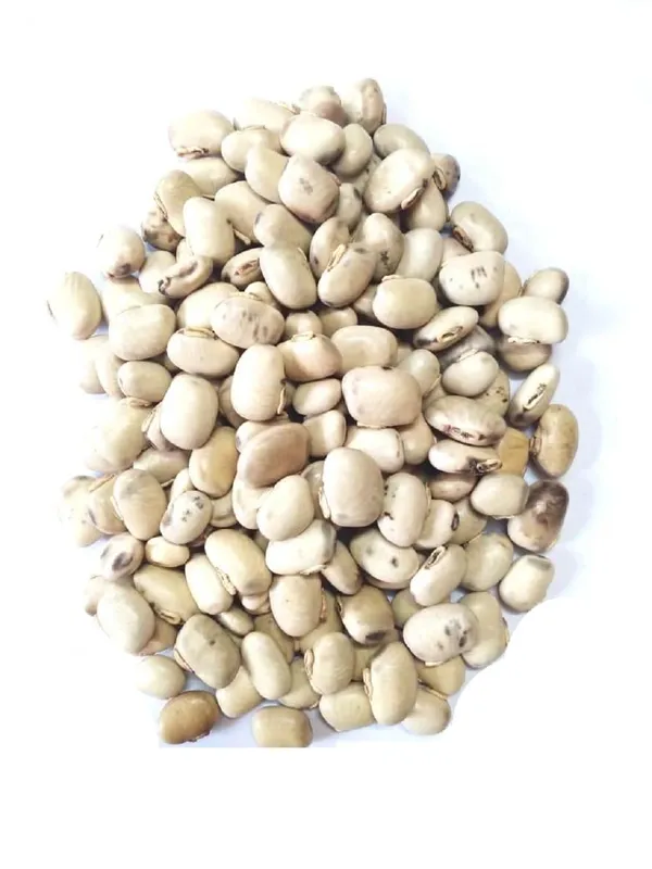 Vinarghya_–_White_Kaunch_Seed/_Safed_Kaunch_Beej/_Mucuna_Pruriens/_Kapikachchhu/_Konch/_Gonca/_Kavach/_Tatgajuli/_Banar_Kakua/_Naikuruna/_Baikhujnee/_Poonaikkali/_Doolagondi_–_200Gm