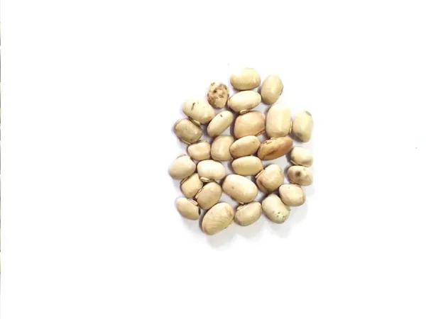 Vinarghya_–_White_Kaunch_Seed/_Safed_Kaunch_Beej/_Mucuna_Pruriens/_Kapikachchhu/_Konch/_Gonca/_Kavach/_Tatgajuli/_Banar_Kakua/_Naikuruna/_Baikhujnee/_Poonaikkali/_Doolagondi_–_200Gm