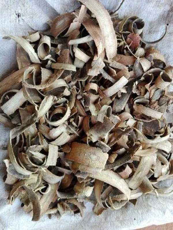 Vinarghya_–_Kuda_Chhal/_Holarrhena_Antidysenterica/_Kutaja/_Pandhara_Kuda/_Safed_Kuda/_Conessi_Bark/_Kenara/_Kherva_–_100G