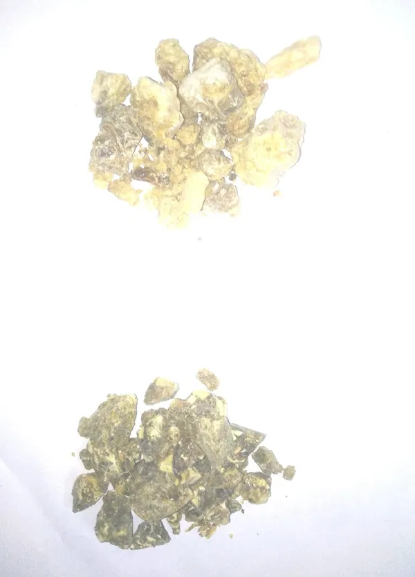 Vinarghya_–_Combo_Of_Lobhan_&_Raal/_Styrax_Benzoin_&_Sal_Tree_Resin/_Ral_&_Luban/_Ood_&_Kama_Ral/_लोबान_&_राल_–_200G_Each