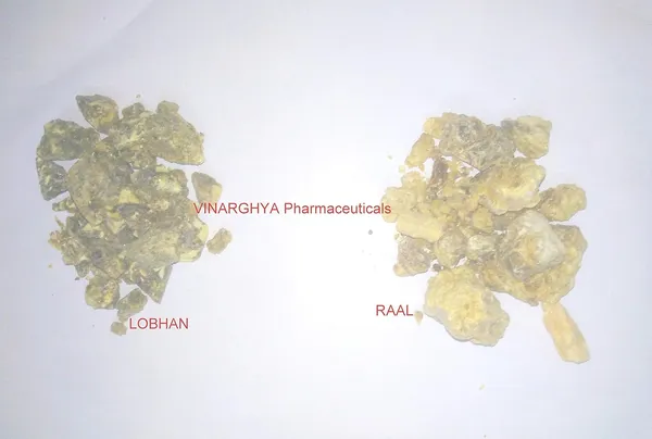 Vinarghya_–_Combo_Of_Lobhan_&_Raal/_Styrax_Benzoin_&_Sal_Tree_Resin/_Ral_&_Luban/_Ood_&_Kama_Ral/_लोबान_&_राल_–_200G_Each