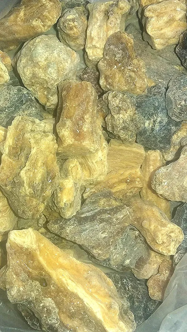 Vinarghya_–_Shorea_Robusta/_Kama_Ral/_Sal_Tree_Resin/_Damar_Batu/_Sakhu/_Borsal/_Indian_Dammer/_Raal/_Jall/_Sagua_–_200G