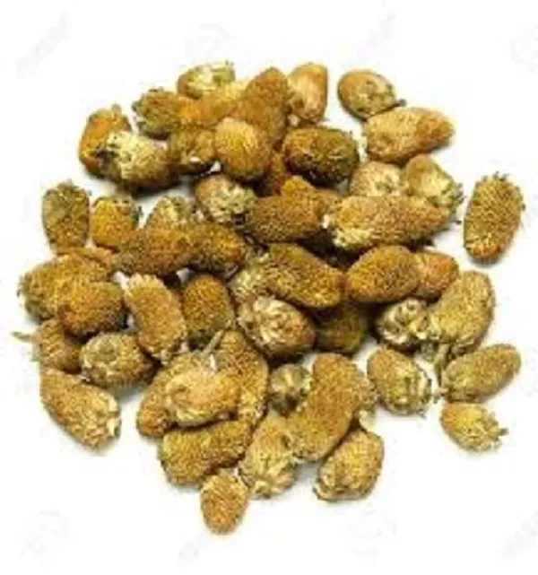 Vinarghya_-_Akkalkada/_Akkal_Kada/_Pyrethrum/_Akkalkara/_Akallaka/_Kulekhara_-_100G