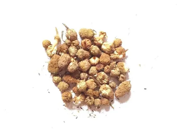 Vinarghya_-_Akkalkada/_Akkal_Kada/_Pyrethrum/_Akkalkara/_Akallaka/_Kulekhara_-_100G