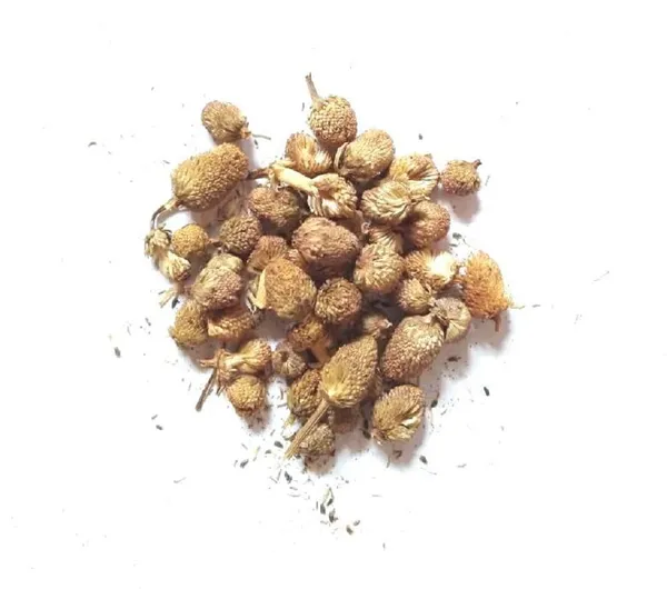 Vinarghya_-_Akkalkada/_Akkal_Kada/_Pyrethrum/_Akkalkara/_Akallaka/_Kulekhara_-_100G