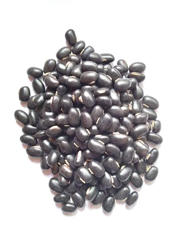 Vinarghya_-_Black_Kaunch_Seed/_Kala_Kaunch_Beej/_Mucuna_Pruriens/_Kapikachchhu/_Konch/_Gonca/_Kavach/_Tatgajuli/_Banar_Kakua/_Naikuruna/_Baikhujnee/_Poonaikkali/_Doolagondi_-_Dried_Seed_Form_-_200G_-_1_Pack
