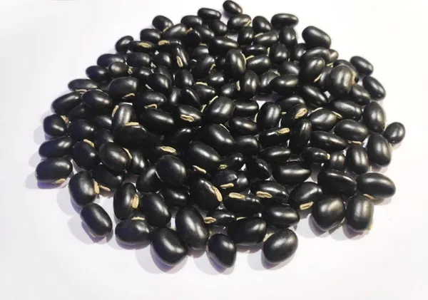 Vinarghya_-_Black_Kaunch_Seed/_Kala_Kaunch_Beej/_Mucuna_Pruriens/_Kapikachchhu/_Konch/_Gonca/_Kavach/_Tatgajuli/_Banar_Kakua/_Naikuruna/_Baikhujnee/_Poonaikkali/_Doolagondi_-_Dried_Seed_Form_-_200G_-_1_Pack