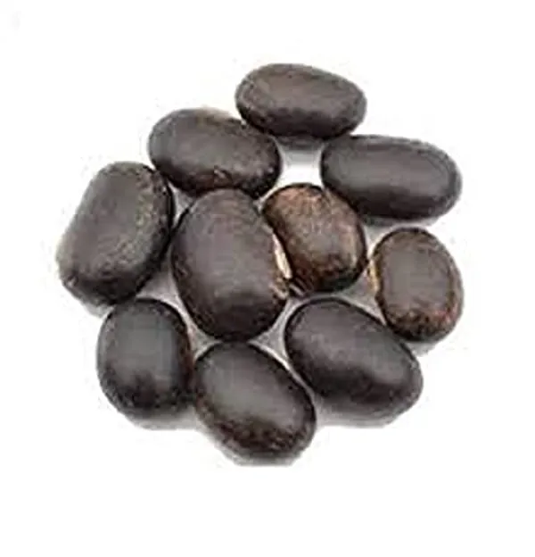 Vinarghya_-_Black_Kaunch_Seed/_Kala_Kaunch_Beej/_Mucuna_Pruriens/_Kapikachchhu/_Konch/_Gonca/_Kavach/_Tatgajuli/_Banar_Kakua/_Naikuruna/_Baikhujnee/_Poonaikkali/_Doolagondi_-_Dried_Seed_Form_-_200G_-_1_Pack