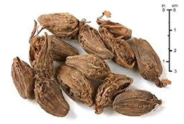 Vinarghya_-_Bhadra/_Badi_Elaichi/_Baara_Aliach/_Greater_Or_Nepal_Cardamom/_Big_Cardamom/_Mothi_Elichi/_Bhendi_Elayachi/_बड़ी_इलायची_–_100G