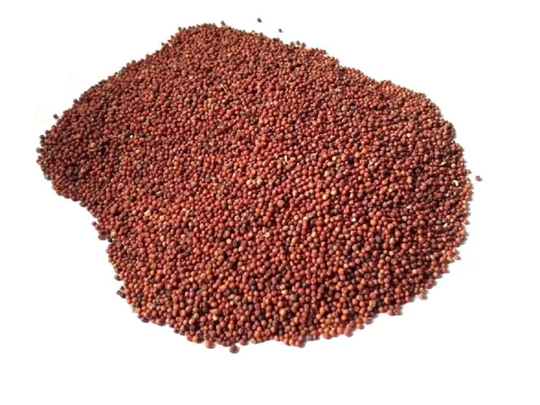 Vinarghya_-_Nachani/_Ragi/_Kezhvaragu/_Mandua/_Mandi/_Same/_Maruba_Dhan/_Nagali/_Koda/_Choon/_Naanchani/_Nasn/_Muthari/_Panjipul/_Kodra/_Mandal/_Aariyal/_Tamidalu_-_900G