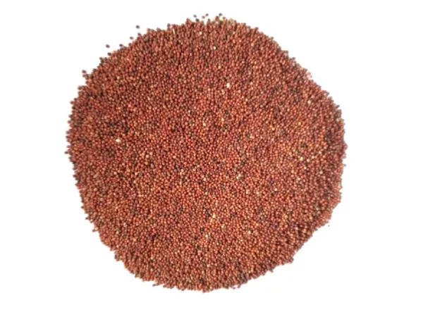 Vinarghya_-_Nachani/_Ragi/_Kezhvaragu/_Mandua/_Mandi/_Same/_Maruba_Dhan/_Nagali/_Koda/_Choon/_Naanchani/_Nasn/_Muthari/_Panjipul/_Kodra/_Mandal/_Aariyal/_Tamidalu_-_900G