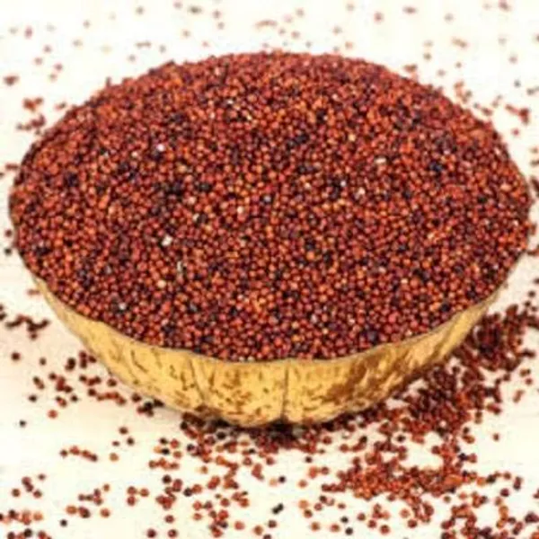 Vinarghya_-_Nachani/_Ragi/_Kezhvaragu/_Mandua/_Mandi/_Same/_Maruba_Dhan/_Nagali/_Koda/_Choon/_Naanchani/_Nasn/_Muthari/_Panjipul/_Kodra/_Mandal/_Aariyal/_Tamidalu_-_900G