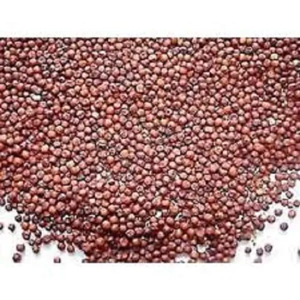 Vinarghya_-_Nachani/_Ragi/_Kezhvaragu/_Mandua/_Mandi/_Same/_Maruba_Dhan/_Nagali/_Koda/_Choon/_Naanchani/_Nasn/_Muthari/_Panjipul/_Kodra/_Mandal/_Aariyal/_Tamidalu_-_900G