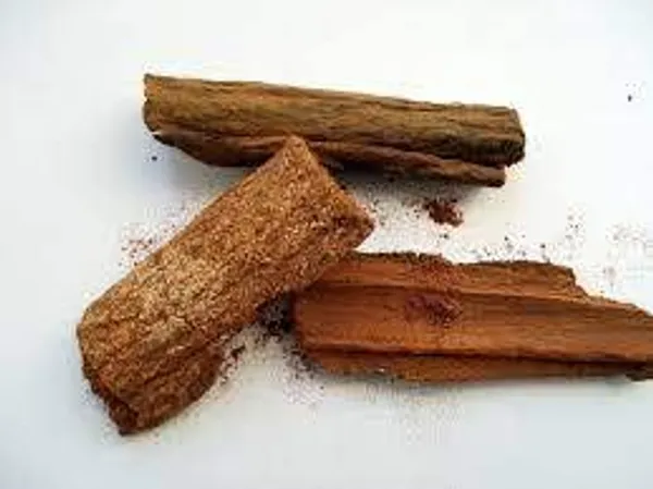 Vinarghya_-_Organic_Red_Cinchona_Bark/_Quina/_Quinine/_Peruvian/_Jesuits/_Kina-Kina_-_100G