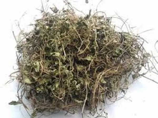 Vinarghya_-_Shankhapushpi/_Butterfly_Pea/_Aparajita/_Gokarni/_Kannikkod/_Sangupushpam/_Gokurna/_Girikarnike/_गोकर्णी_–_100G