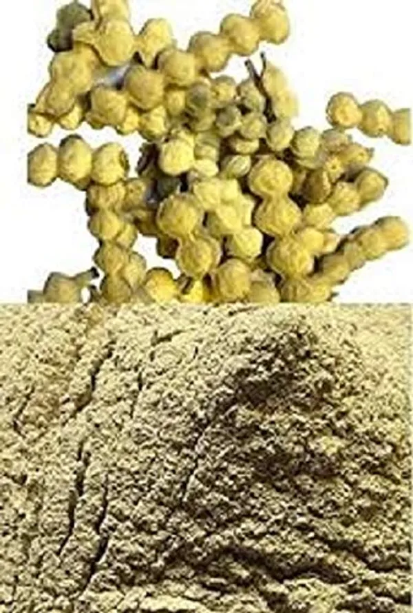Vinarghya_–_Acacia_Nilotica_Powder/_Babul_Phalli_Powder/_Babool_Phalli/_Babul_Falli/_Keekar_Phali/_Vachellia_Nilotica_–_200G