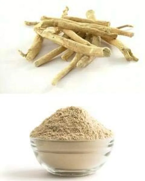 Vinarghya_-_Ashwagandha_Powder/_Winter_Cherry/_Dudhakadi/_Asoda/_Asgandh_Churna_-_100G