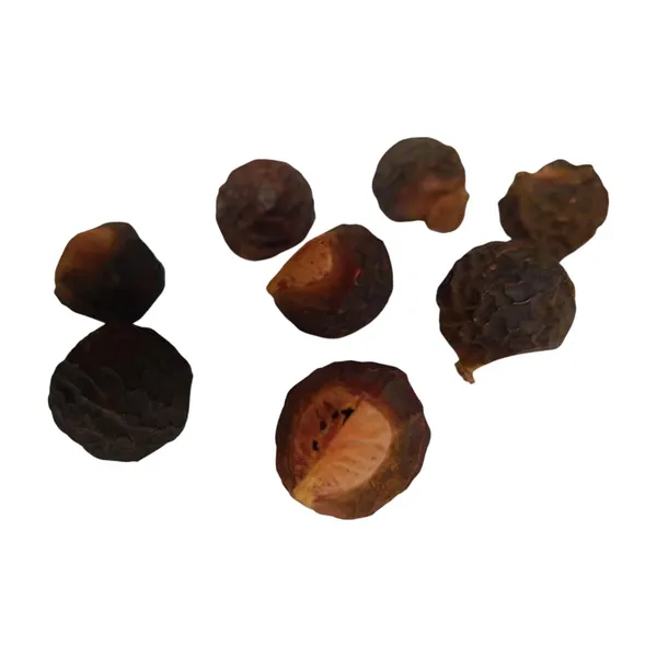Vinarghya_–_Areetha/_Ritha/_Reetha/_Soap_Nut/_Kunkudukai/_Sapindus_Mukorossi/_रीठा_–_200G