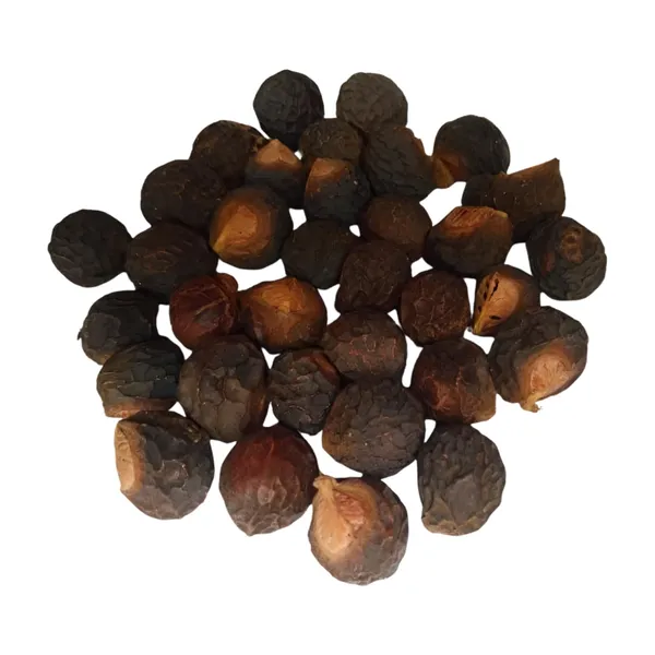 Vinarghya_–_Areetha/_Ritha/_Reetha/_Soap_Nut/_Kunkudukai/_Sapindus_Mukorossi/_रीठा_–_200G