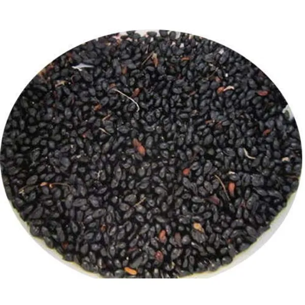 Vinarghya_–_Tulsi_Beej/_Tulsi_Bij/_Basil_Seed/_Ocimum_Sanctum_/_तुलसी_बीज_–_100_G
