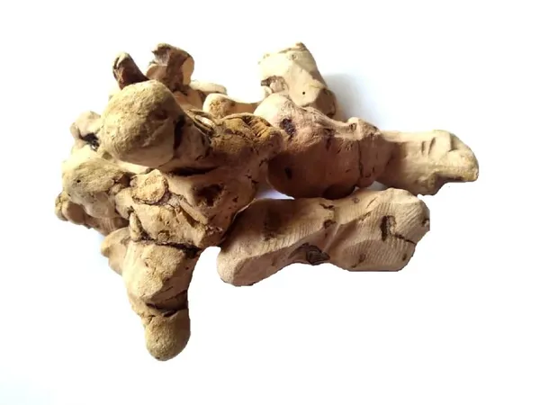 Vinarghya_-_Chopchini/_Madhusnuhi/_China_Root/_Bamboo_Bariar_Root/_Kashussini/_Gooti/_Shopchini/_Sobchini_-_900G