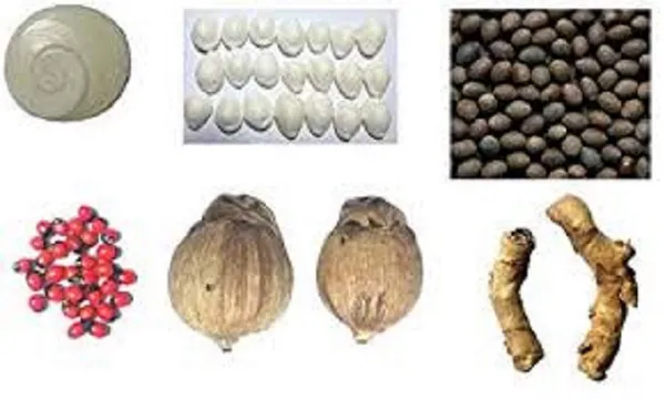 Vinarghya_–_Laxmi_Puja_Combo_Of_Kamal_Gatta,_Gomati_Chakra,_Rakta_Gunja,_Laxmi_Kawdi_–_11_Pcs_Each_&_Kali_Haldi,_Laxmi_Naryal_–_2_Pcs_Each