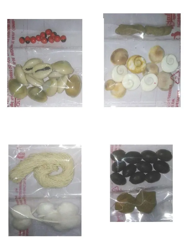 Vinarghya_–_Laxmi_Puja_Combo_Of_Kamal_Gatta,_Gomati_Chakra,_Rakta_Gunja,_Laxmi_Kawdi_–_11_Pcs_Each_&_Kali_Haldi,_Laxmi_Naryal_–_2_Pcs_Each