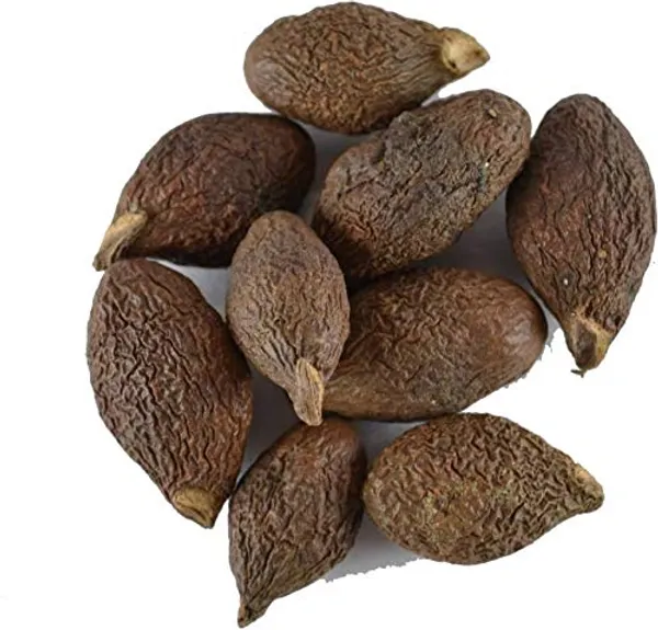 Vinarghya_–_Niranjan_Phal/_Fal/_Malva_Nut/_China_Phal/_Umasmangu/_Sterculia_Lichnophora/_निरंजन_फल_–_50G